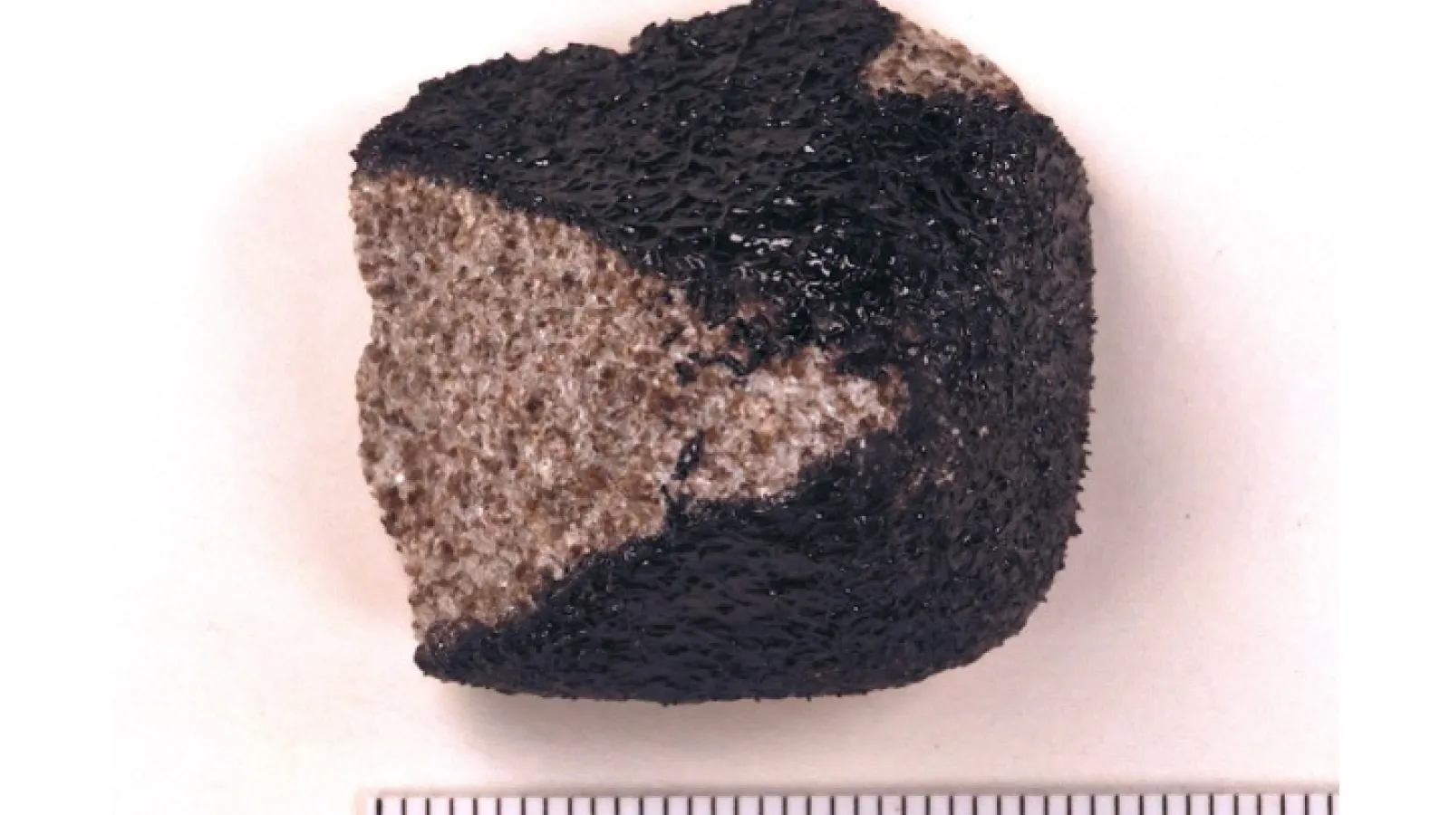 Wadsworth meteorite
