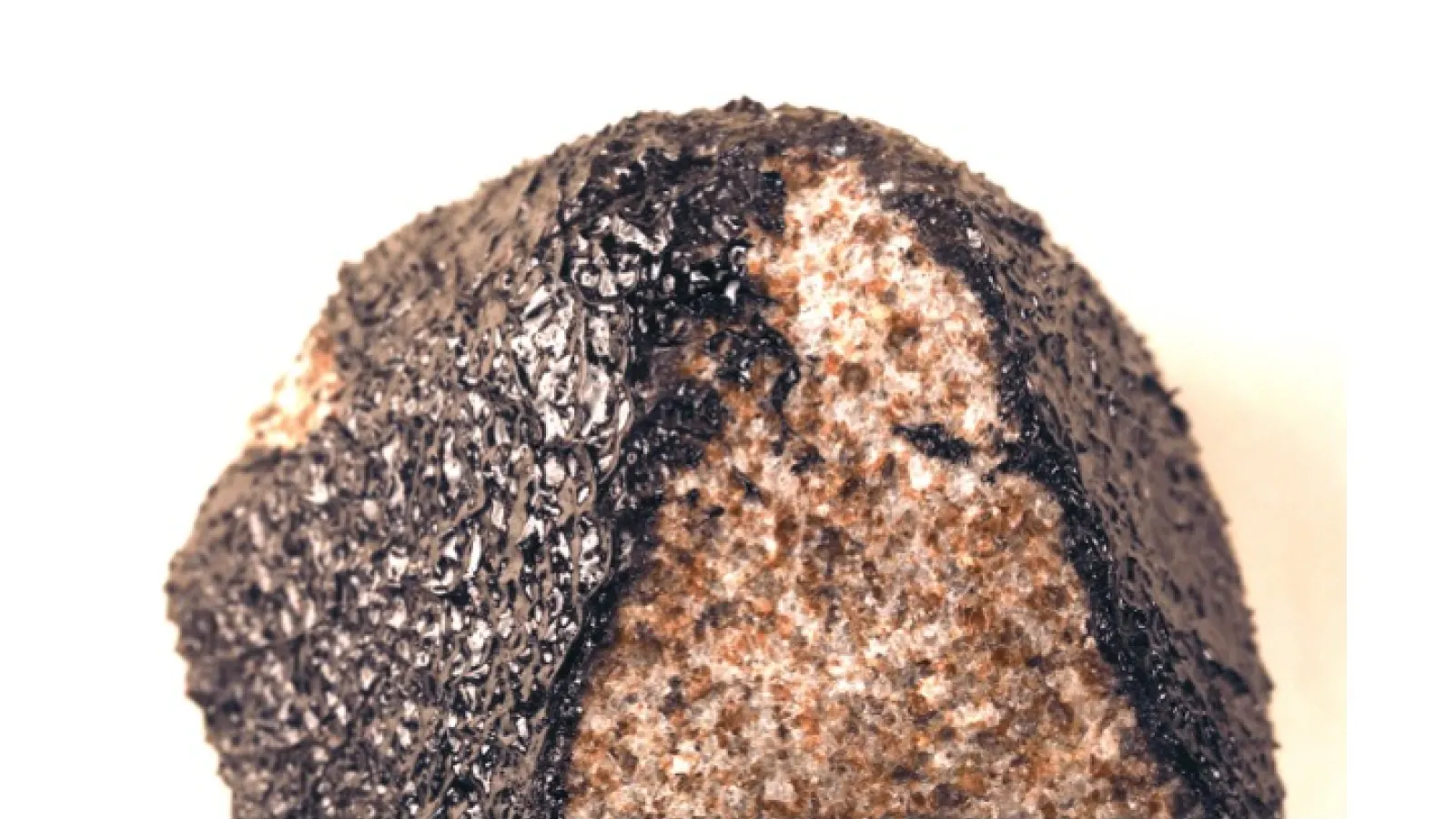 Wadsworth meteorite