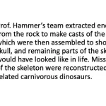 Extraction of fossils