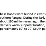 Early Jurassic paleogeography