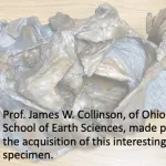 Donor - James W. Collinson